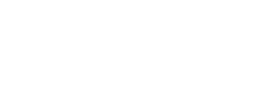 Ion Interactive